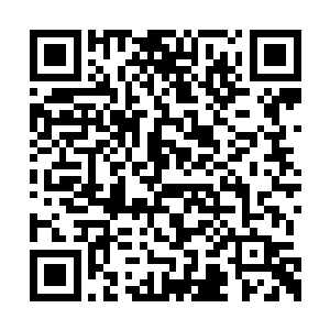还妄图伤害我的亲人来让我和我的宗门互相残杀二维码生成