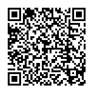 还小睡了一会的张方平抱着一个精致的茶壶重新走进云峥的白虎节堂二维码生成