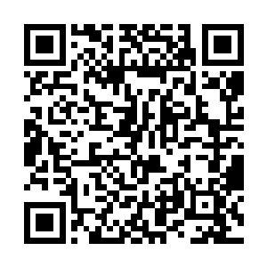 还强行要求它违背一切元逻辑和神圣法则去攻击彼此二维码生成