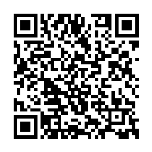 还当着天下修士的面嚷着让我灭掉太虚宗的道统二维码生成