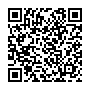 还很认真的和伊丽萨讨论起来公狮与人的巨大差别二维码生成