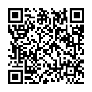 还很贴心地给队友们加持了几个自然系的光环法术二维码生成