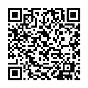 还得下次副本进一次惩罚副本――这他妈也太冤了吧二维码生成