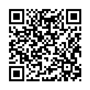 还得归功于大量的成功移植在土地上的铁壳花二维码生成