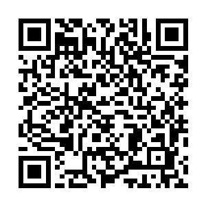 还得怎么开不是么就当是认识一下在座的各位联盟的盟主二维码生成