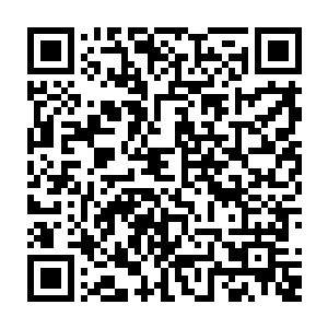 还得我这个便宜父亲来照顾才行啊……幸亏没在这个不靠谱的母亲身边出生二维码生成