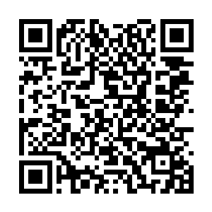 还得玩命的跟着李金方还有他的高手学员一块儿练二维码生成