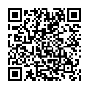 还必须填写一个登陆密码和昵称才能够进入论坛二维码生成