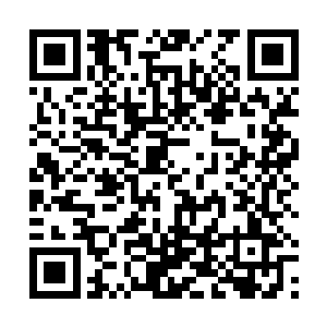 还必须要进行五年……该不会是要让我们去抵御兽潮吧二维码生成