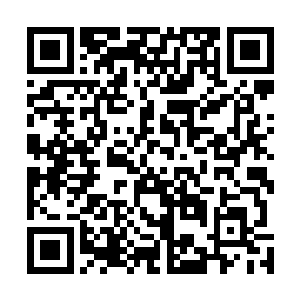 还悬挂在城堡之上的青灵看到这一幕嘴角露出淡淡的笑容二维码生成