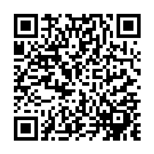还想凭借练脏期的实力对全力以赴的凝脉期巅峰的武者二维码生成