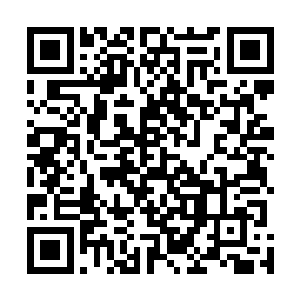 还想在这条路上走得更远的被淘汰者和主办方签署了合约二维码生成
