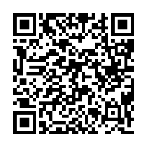 还想对付苏家……我一定让他们把你关进监狱里二维码生成