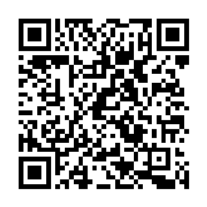 还想巴拉巴拉别人的痛苦隐秘而满足自己的八卦之心什么的二维码生成