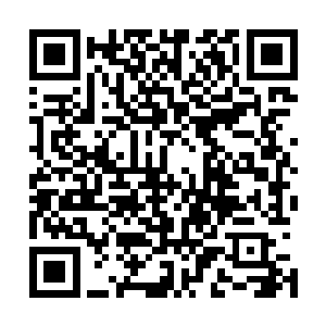 还懂得如此之多……在觉醒者之中应该是大有名气之人才对二维码生成