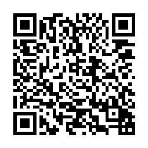 还把周少爷最心爱的踏雪宝马都给搞大肚子了……周少爷气坏了二维码生成