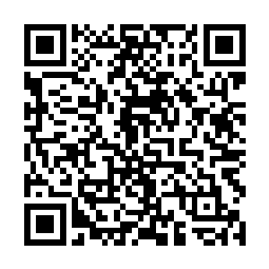 还把她从谭晶这里得到的一面小镜子也给了她哥哥玩二维码生成