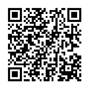 还把手上满是英文字母的巧克力在她眼前晃了晃二维码生成