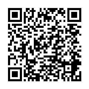 还把白色怪物的脑子和脑子里面的那颗珠子吞噬殆尽二维码生成