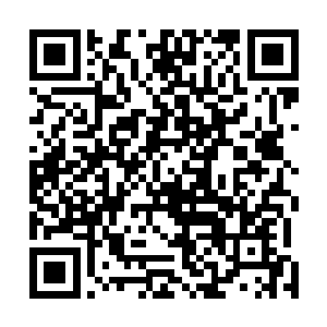 还把自己珍藏了许久都没舍得吃完的炒榛子分给了她一半二维码生成