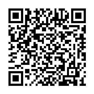 还抓了一百三十五人次未成年少男少女上网……二维码生成