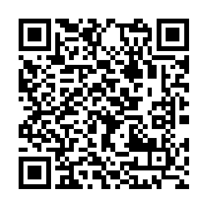 还抬着萌哒哒的清澈眼睛看着踏雪无痕墨角腾云兽二维码生成