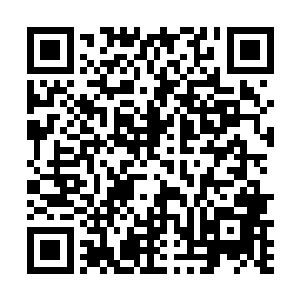 还拿出了公司的最后一笔救命资金打到了福利院的账上二维码生成