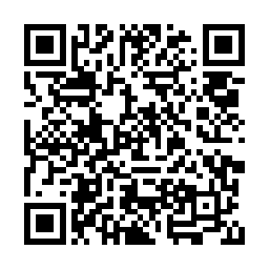 还提到了您当年初入龙魂时被枪声吓得尿了裤子二维码生成