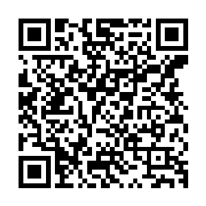 还是一部拿了大奖的声势浩大热度极高且口碑也极好的文艺电影二维码生成