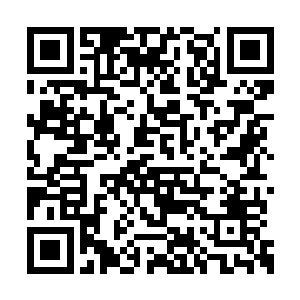 还是不太了解自己的这种状况究竟是怎么回事情二维码生成