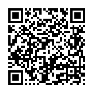 还是不敢直接就确定自己和阿璃的前世就是认识的二维码生成