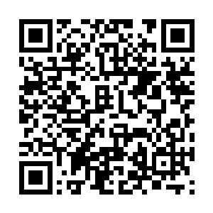 还是不知天高地厚好――你真有信心能骗过厉灵风二维码生成