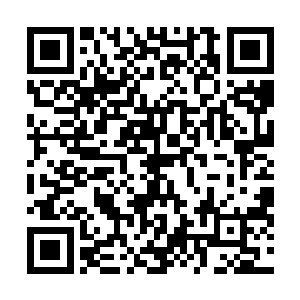 还是不要干扰白参谋长这样的专业人士去处理专业的问题二维码生成
