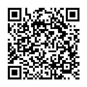 还是两大天后在这次面对面大撕逼中旗鼓相当的表现二维码生成