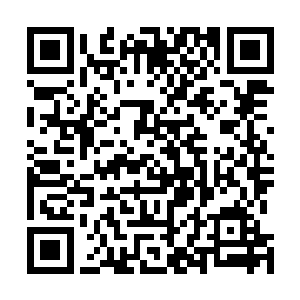 还是之前在无影洞天入口外祝九阴与四大上品开天的一战二维码生成