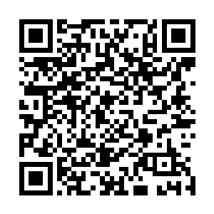 还是乔家人拿着晏西晏北当成功的案例用心复刻培养出来的二维码生成