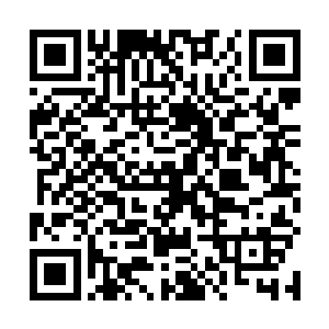 还是他们根本就没有看清楚那个坐在小板凳上的年轻人二维码生成