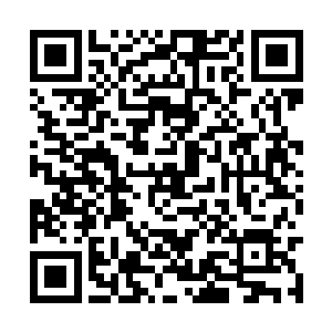 还是以前那个半夜三更还为你闯公安局的美女局长二维码生成