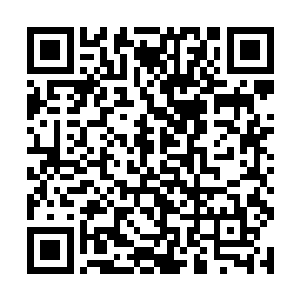 还是你嫌弃姐姐只是一名娱乐会所地位低等的服务员二维码生成