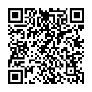还是兰波通过莱昂纳多的表演塑造了所有观众心目中的形象二维码生成
