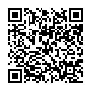 还是冯书记对他的尊重绝对不会逊色与刘一维他们二维码生成