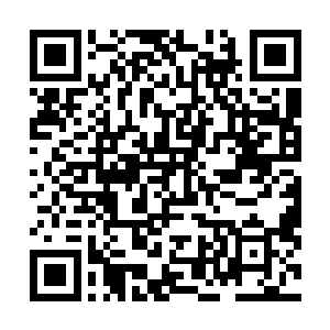 还是决定让刘中宇这个剑道天才来帮自己参演这四道法诀二维码生成