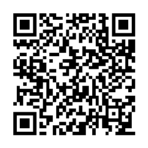 还是出于吞噬融合了蓝鲨灵帅的那些意识产生的二维码生成