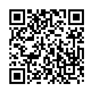 还是十几岁的时候就跟在洛振宇身边的二维码生成