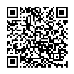 还是南宫离珠当年那还没来得及见天日就流产的胎儿二维码生成