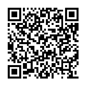 还是原型的魅业火倦曲在一个深沉黑灰色石头上二维码生成