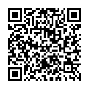 还是只顾及你自己的颜面……明明是你做错了事情二维码生成