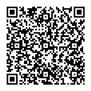 还是吓琹i褚郧耙谎压锼械牡贫即蚩谜鼍盼补脊饷4玻挥幸淮诎档牡胤健二维码生成