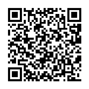还是因为他们两个人的表现有那么一些惨不忍睹二维码生成
