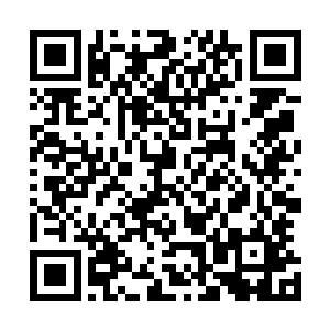 还是因为吉尔伯特老师年轻时候就获得过一份这种材料……二维码生成